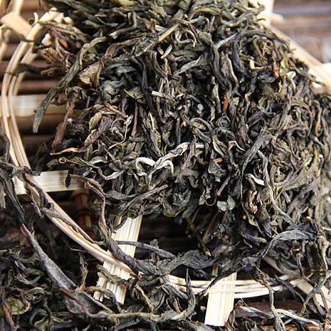 普洱生茶的純料古樹春茶 品味時光的饋贈